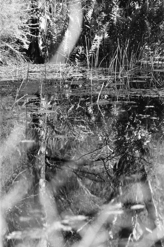 Temporal Equanimity, 35mm photograph, roll 1