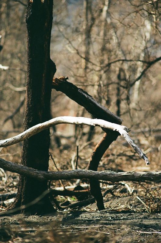 Temporal Equanimity, 35mm photograph, roll 1