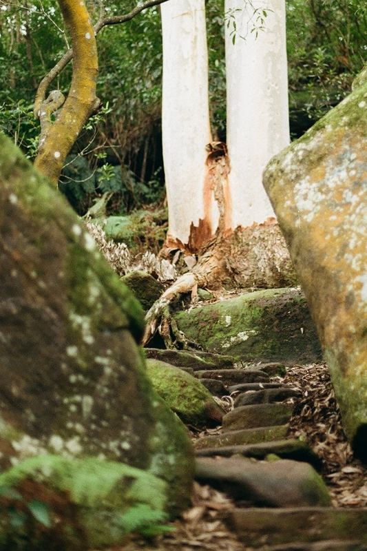 Temporal Equanimity, 35mm photograph, roll 1