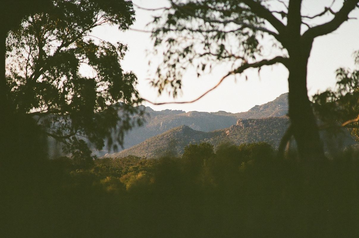 Temporal Equanimity, 35mm photograph, roll 2