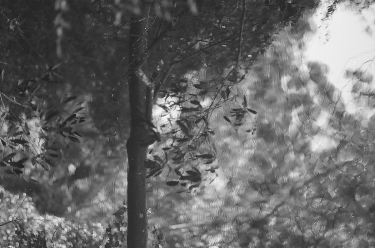 Temporal Equanimity, 35mm photograph, roll 3