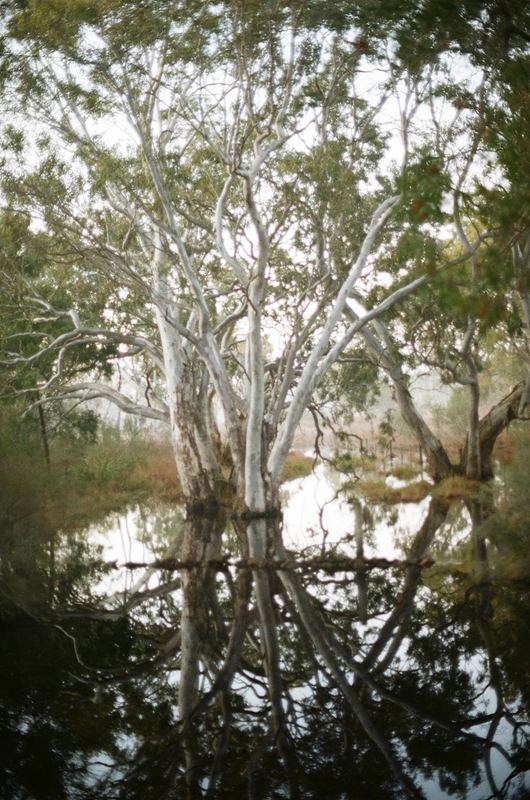 Temporal Equanimity, 35mm photograph, roll 4