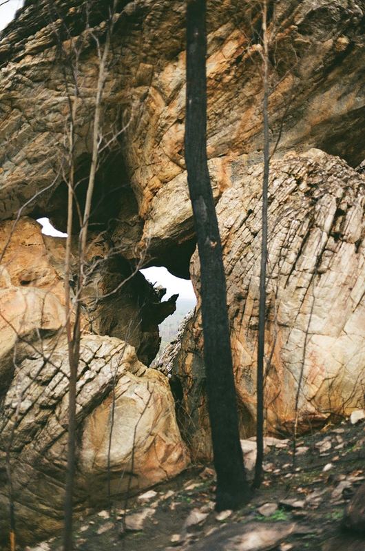 Temporal Equanimity, 35mm photograph, roll 4