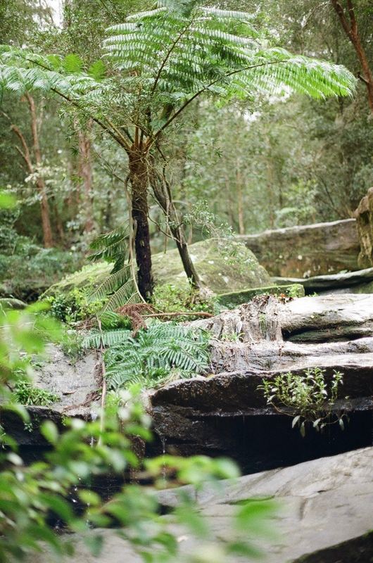Temporal Equanimity, 35mm photograph, roll 4