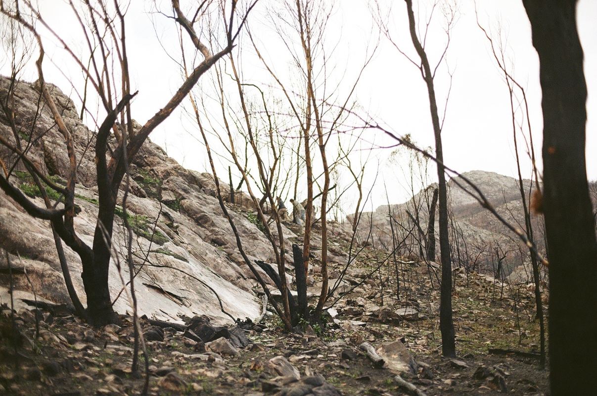 Temporal Equanimity, 35mm photograph, roll 5
