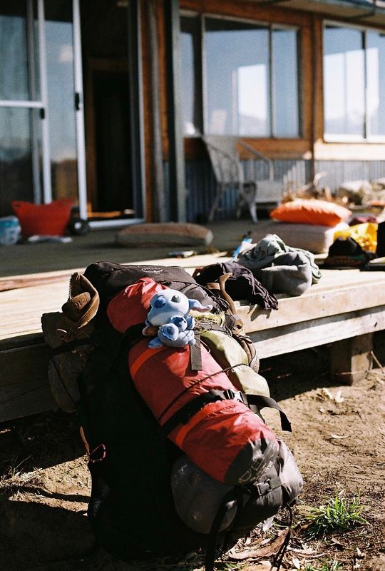 Temporal Equanimity, 35mm photograph, roll 5