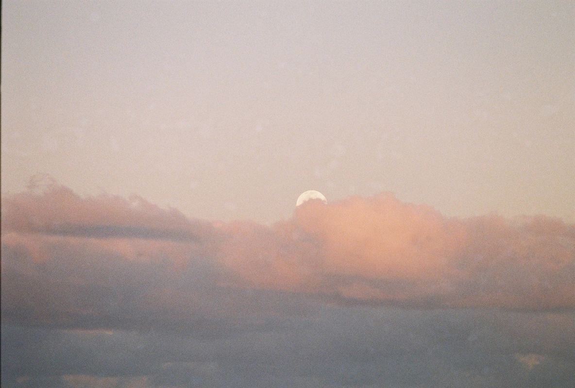 Temporal Equanimity, 35mm photograph, roll 6
