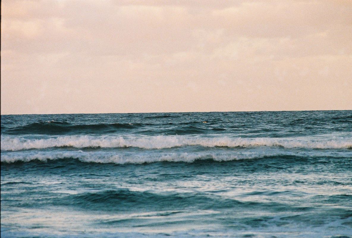 Temporal Equanimity, 35mm photograph, roll 6