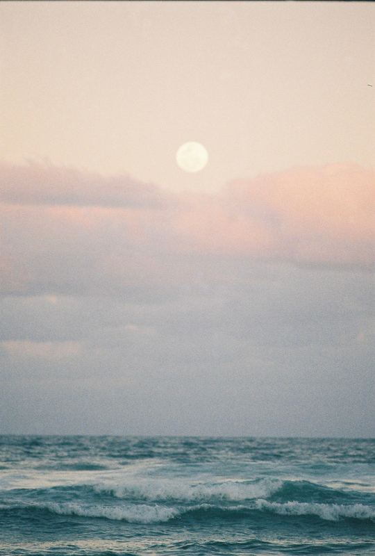 Temporal Equanimity, 35mm photograph, roll 6