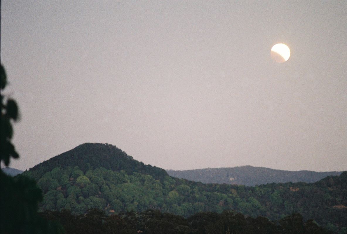 Temporal Equanimity, 35mm photograph, roll 6