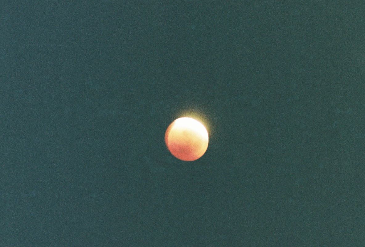 Temporal Equanimity, 35mm photograph, roll 6